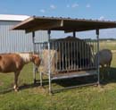 HorseFeeder_4