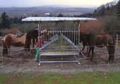 HorseFeeder_5