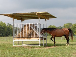 horsefeeder_6