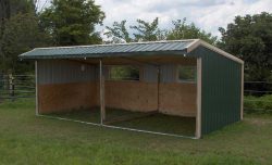 Wrangler Run In Horse Shelter