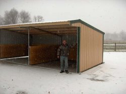 Wrangler Run In Horse Shelter