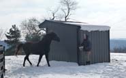 Wrangler Run In Horse Shelter - 9 x 9 Open Shelter Frame: