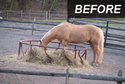 Before using a hay saver hay feeder