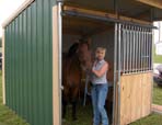 Wrangler Run In Horse Shelter - 9 x 9 Open Shelter Frame