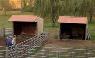 Wrangler Run In Horse Shelter - 9 x 9 Open Shelter Frame
