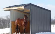 Wrangler Run In Horse Shelter - 9 x 9 Open Shelter Frame