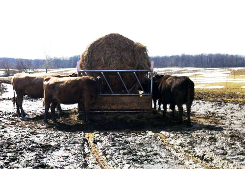 livestock hay feeder