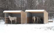 Wrangler Run In Horse Shelter - 12 x 12 Open Shelter Frame