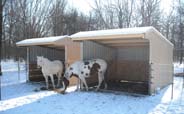 Wrangler Run In Horse Shelter - 12 x 12 Open Shelter Frame