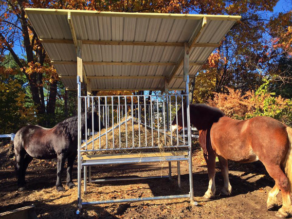 Dover Mounted Patrol Testimonail