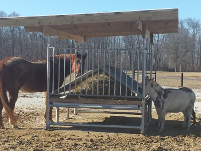 Portable Shade Structures