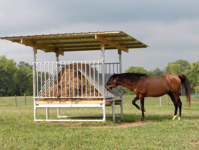 hay feeder for horses