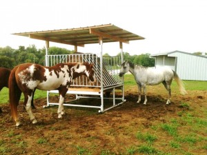 Horses eating from a Klene Pipe horse hay feeder