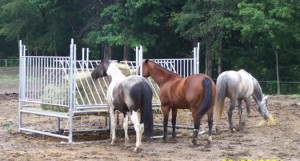 Klene Pipe's Horse Hay Feeders