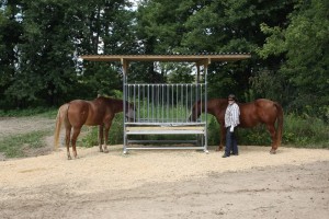 horses feeding from a Klene Pipe horse hay feeder