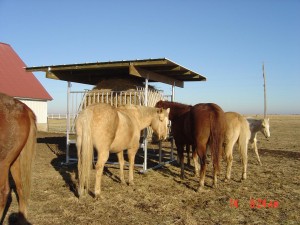 Klene Pipe's H-8 Horse Hay Feeder