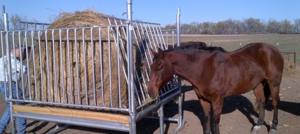 Horse Hay Feeder