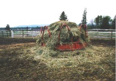 ring bale hay feeder