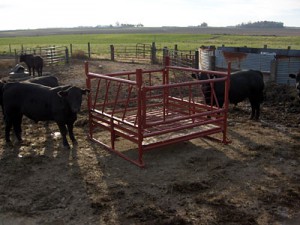 Klene Pipe's Cattle Hay Feeder