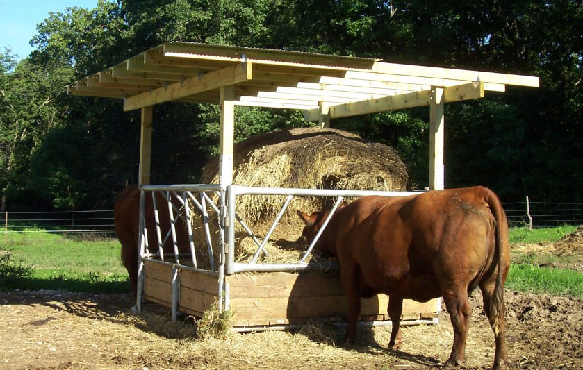 VL-2882 Cattle Hay Feeder with cow feeding