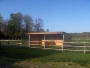 Wrangler Run in Horse Shelter - 12 x 24 Open Shelter Frame