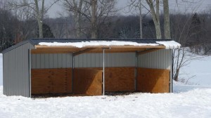 Wrangler Run in Horse Shelter - 12 x 24 Open Shelter Frame