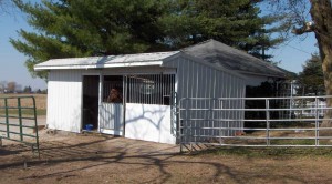 Wrangler Run in Horse Shelter - 12 x 24 Open Shelter Frame