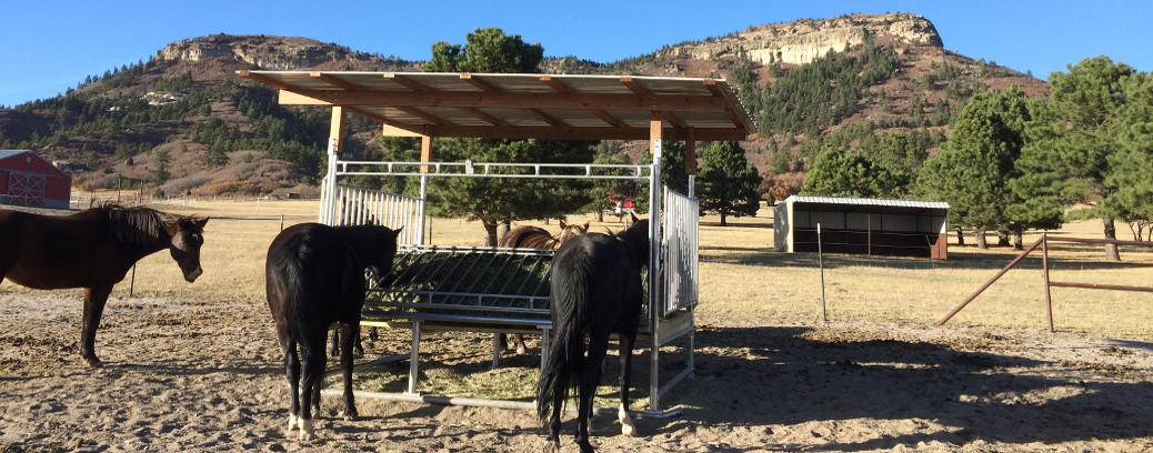 H-10 Horse Hay Feeder in Colorado