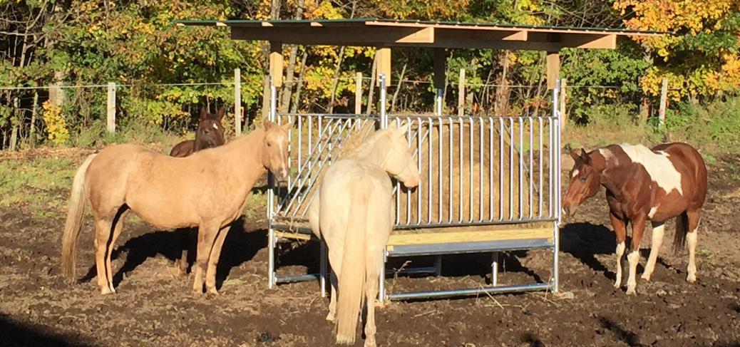 H-8 Horse Hay Feeder in Wisconsin
