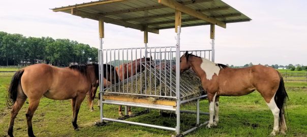 H-8 Horse Hay Feeder