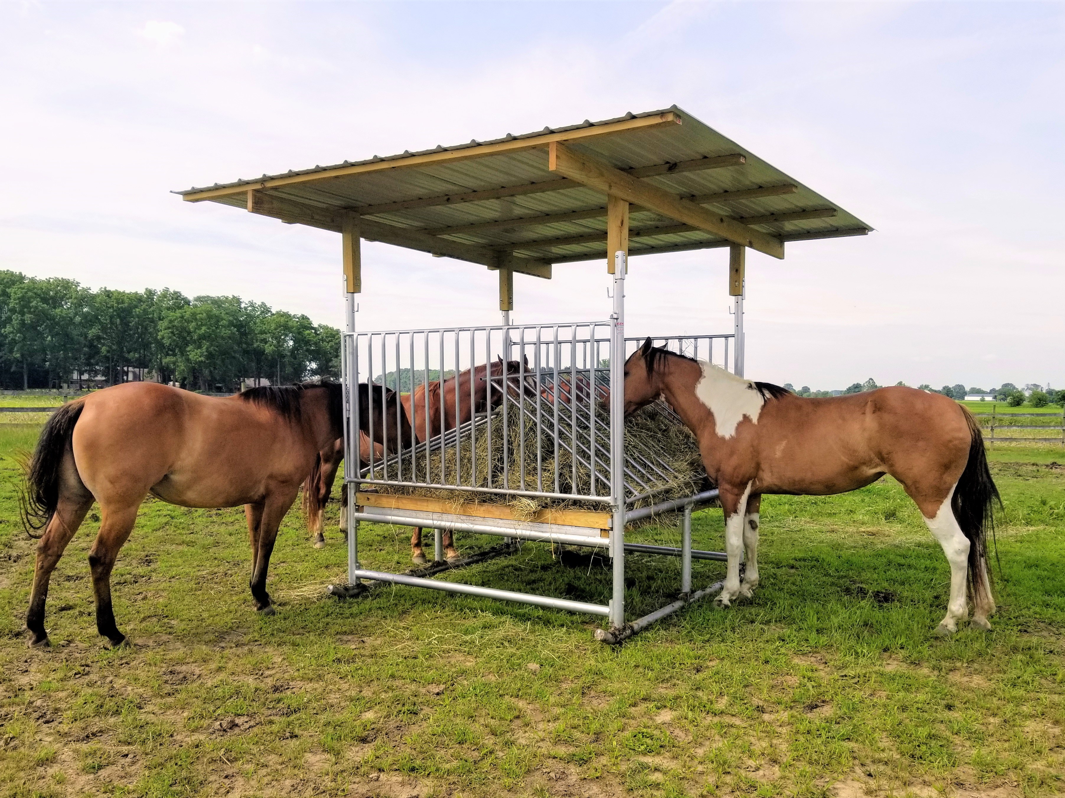 H-8 Hay Feeder for Horses