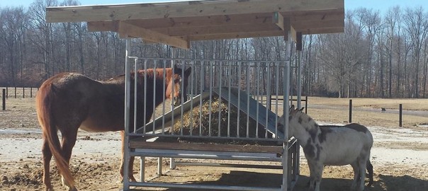 Hay Saver Hay Feeder for Horses