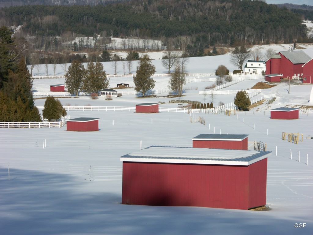 Maverick Style Run-In Horse Shelter in the Winter