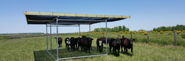 Hay Feeders Horse Shelters Shade Structures Klene Pipe