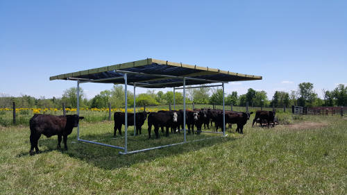 Portable Shade Structure