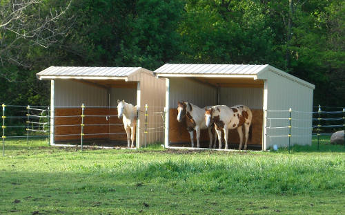 Wrangler Run in Horse Shelter Kits | Klene Pipe Structures