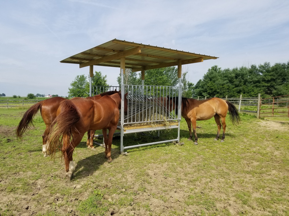 H-8 Hay Feeder for Horses