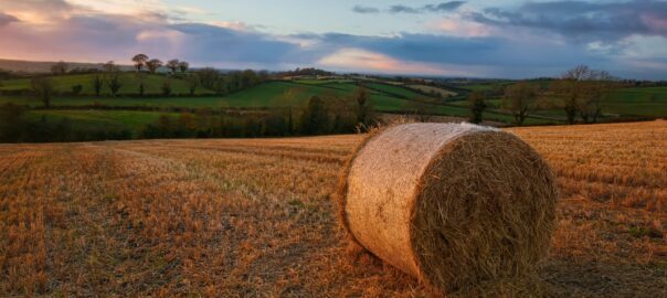 round bale of hay