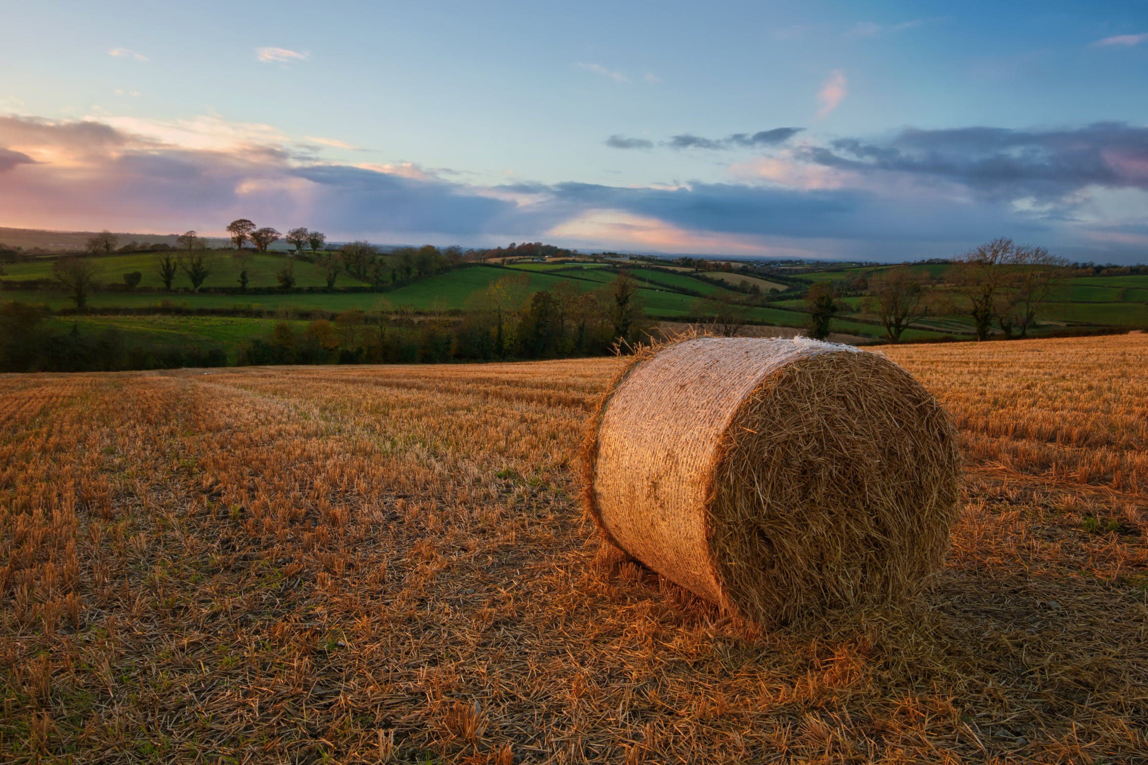 round bale feeder for horses