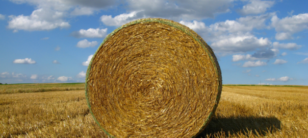 round hay bale