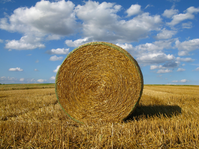 round hay bale