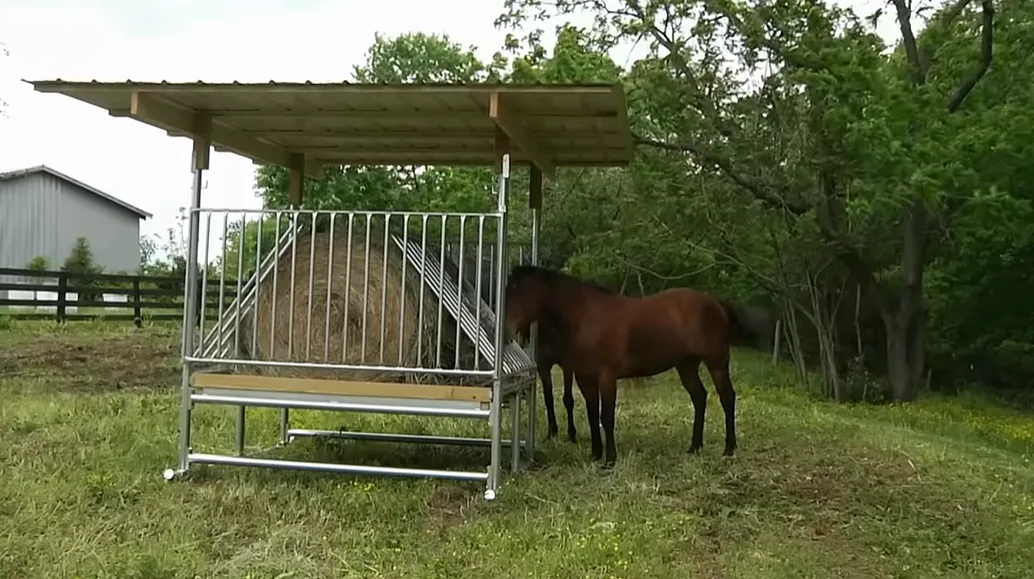 horses eating at a Klene Pipe no-waste hay feeder